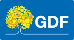 GDF - Governo do Distrito Federal